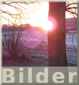 Bilder