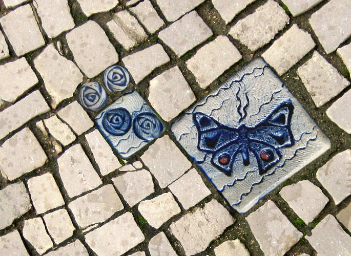 Schmetterling 